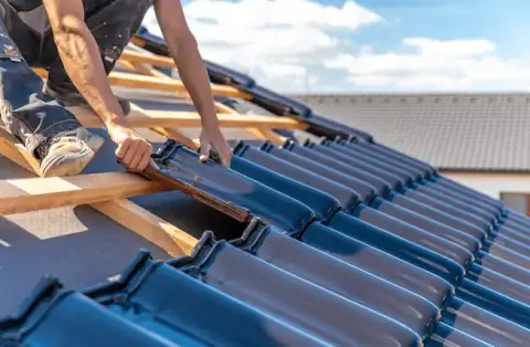 Couverture - Saint-Bernard