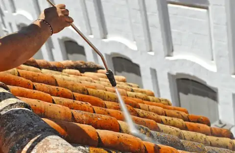 Nettoyage de toitures - Saint-Bernard
